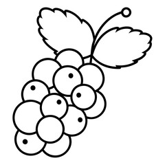 currant outline with white background, for coloring page