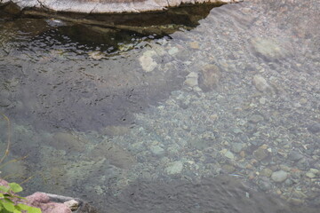 Gentle wave image of the clear water of Daecheongcheon
