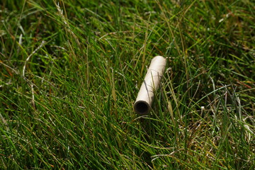 Close up of cardboard straw sitting grass