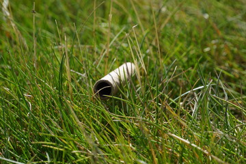 Close up of cardboard straw sitting grass
