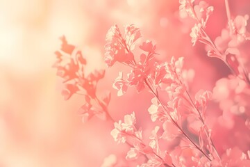 Soft Pastel Coral Background with Gentle Floral Accents