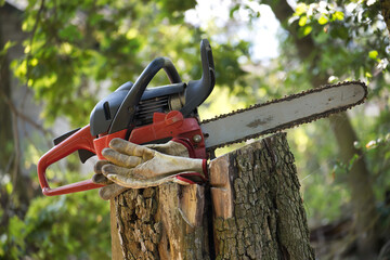 Close-up of a chainsaw and gloves on a tree stump in a garden