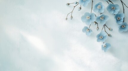 blue flower branch against transparent fractal princess frozen flowers whitespace border white death dying cleanest banner shintoism