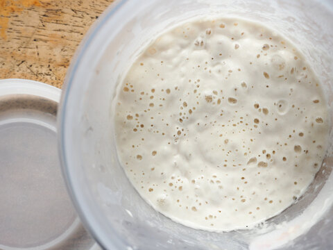 bubbly sourdough bread starter