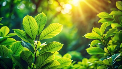 Obraz premium Lush Green Leaves Flourishing in Nature's Embrace Under Soft Sunlight and Gentle Breezes