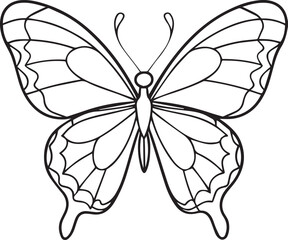 butterfly line art vector