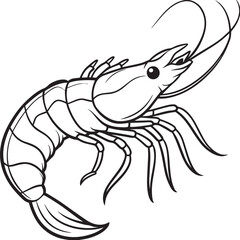 Fototapeta premium prawn line art vector