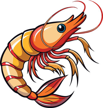 recommend clip art: prawn clip art vector