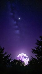 Fototapeta premium full moon background, full moon wallpaper, high definition wallpaper, Galaxy wallpaper, night scenery wallpaper