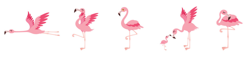 set of pink flamingo cartoon in flat style on white background