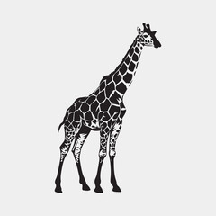 Naklejka premium giraffe clipart black and white