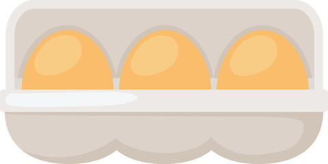 illustration of colorful Eggs in cardboard package vector