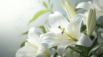 Fototapeta premium A close-up of white lilies in a funeral arrangement, symbolizing peace and remembrance.