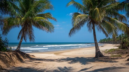 1. Un paisaje tropical en una playa de Mexico durante el verano, donde palmeras altas se balancean suavemente con la brisa. La arena dorada brilla bajo el sol radiante, y el oceano azul se extiende