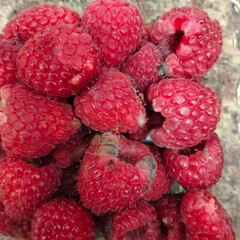 rotten raspberry with mold raspberries spoiled