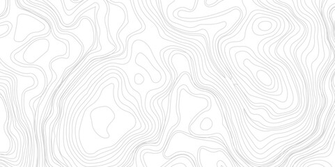 Topographic background and texture, monochrome image. contour line abstract topographic contours map background.