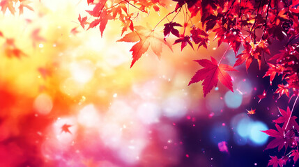 Fototapeta premium Beautiful maple leaves in autumn sunny day in foreground and blurry background in Kyushu, Japan. No people, close up, copy space, macro shot.