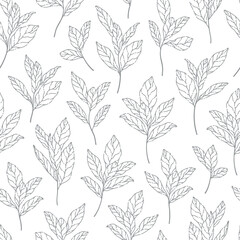 Series of leaves pattern motif in simple scandinavian outline line for textile fabric wallpaper paper wrap print