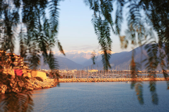 Sunlit tree branches framing the Finike marina