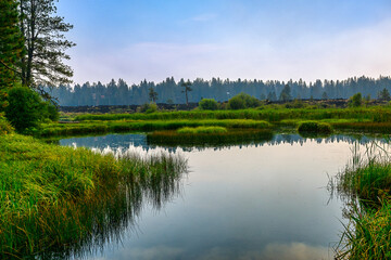 2024-09-10 DESCHUTES RIVER RUNNNING THROUGH TALL GRASS FORMING A SMALL POND WITH A NICE REFLECTION AND TREES AND A NICE SKY IN THE DISTANCE IN SUNRIVER OREGON