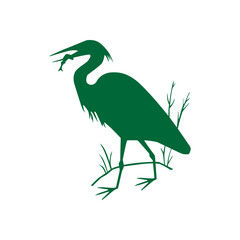 Make a Professional Bird Flamingo Vector