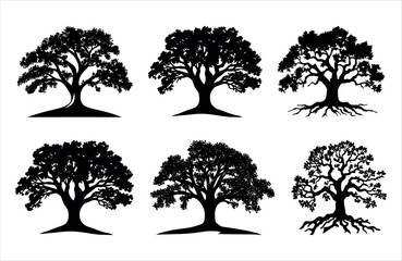 Obraz premium High quality oak tree silhouette vector isolated on white. nature. black color tree icon, copy space. 