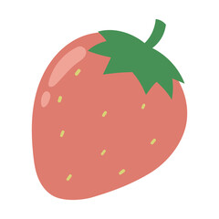 Strawberry fruit illustration