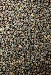 Background of green coffee beans