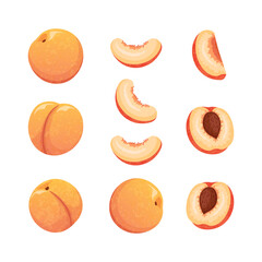 Peach clip art set. Whole peach, half, slice.