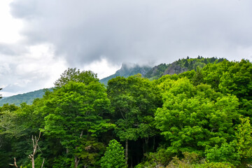 Grandfather Mountain