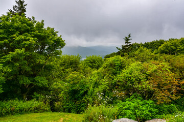 Obraz premium Grandfather Mountain