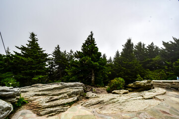 Obraz premium Grandfather Mountain