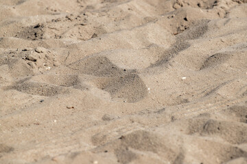 A sandy beach with a few footprints in the sand