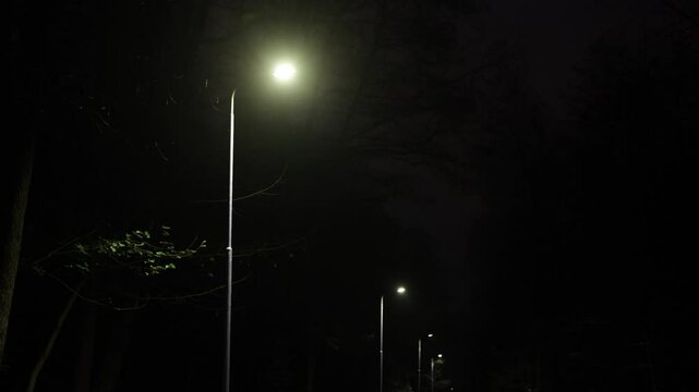 night glow, glowing lamps, park pathway. Chain lit streetlights at night along street in park.