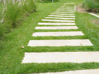 Stones for flooring, walkways in the gardens nature , floor, passage, path, footpath, pathway or passageway with nature for walking along and connecting different section of a building, park.