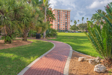 Obraz premium St. Petersburg Arboretum in a pablic park Florida.