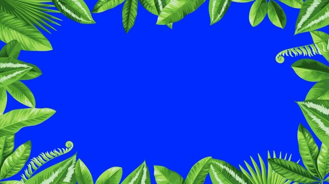 GreenScreens