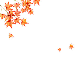 紅葉 秋　背景 フレーム　水彩 イラスト