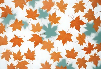 Orange maple leaves on a white background