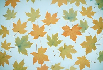 Orange maple leaves on a white background