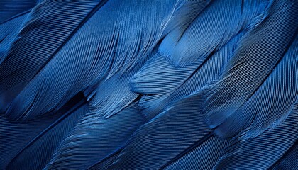 blue feathers background, leather, cloth, feather, closeup, soft