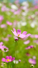 It feels like Autumn is coming