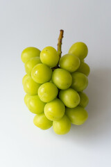 白背景のシャインマスカット