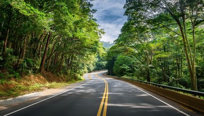Obraz premium Scenic Curvy Road Through Lush Green Forest