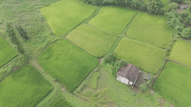 Raw Footage of Agriculture field with village house and solar panel. D Log M raw footage of Farm land aerial view. 
