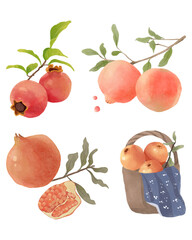 pomegranate with leaves