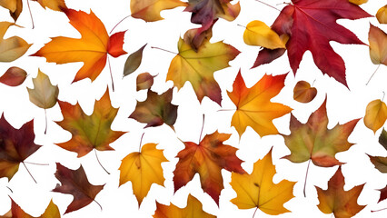 fallen leaf