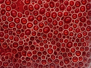 Microbiology shot of red blood cells clustered within a human capillary emphasis on the intricate cell wall texture and the fluid dynamics structure