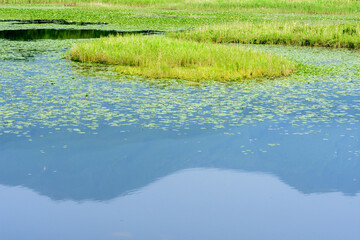 絶景の知床五湖を歩く
