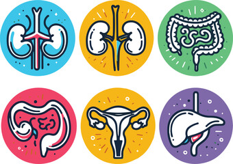 Vector illustration of six human internal organs icon art